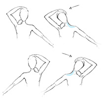 trapezio